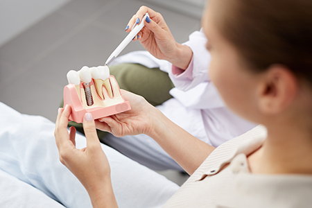 A woman in a dental office holds up a model mouth with a toothbrush, examining it closely while seated at a desk.